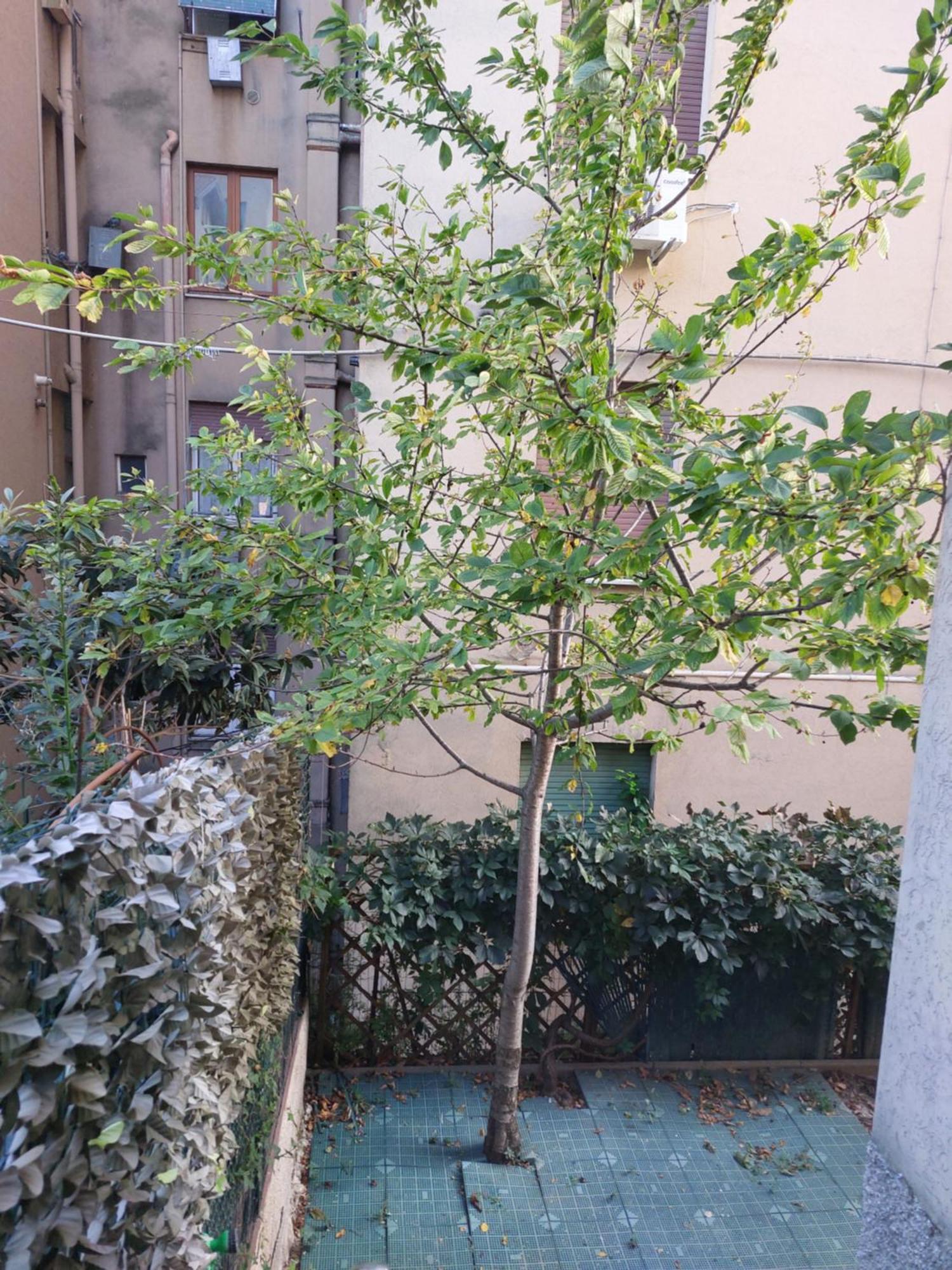 Il Ciliegio - Casa Vacanza Macerata Luaran gambar